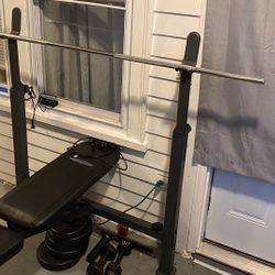 Bench Press Set Up