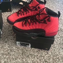 Jordan 12 
