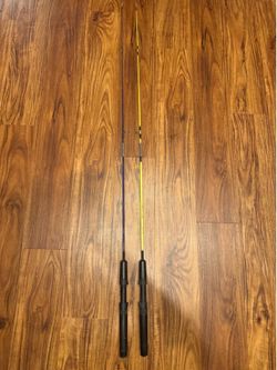 2  FISHING POLES