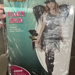 Dark Angel Costume 