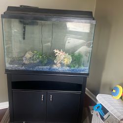 Fish Tank And Cabinet 