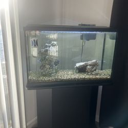Fishtank With Stand