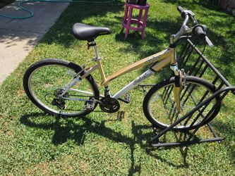 Schwinn Bicycle