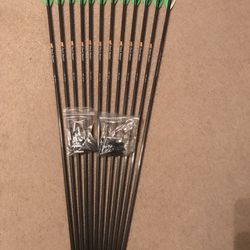  Victory  Buck Buster Carbon Fiber 12 Arrows With Inserts