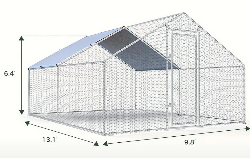 Large Chicken Run