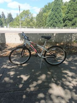 M50 Raleigh bike