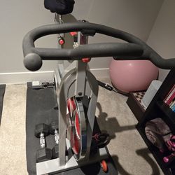 Sunny Health Anf Fitness Bike