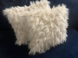 Home Sense Luxe Decorative Pillows 