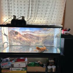 40 Gal Reptile Terrarium 