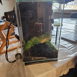 Aquarium Fish Tank 5 Gallon 