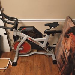 Work Out Bike
