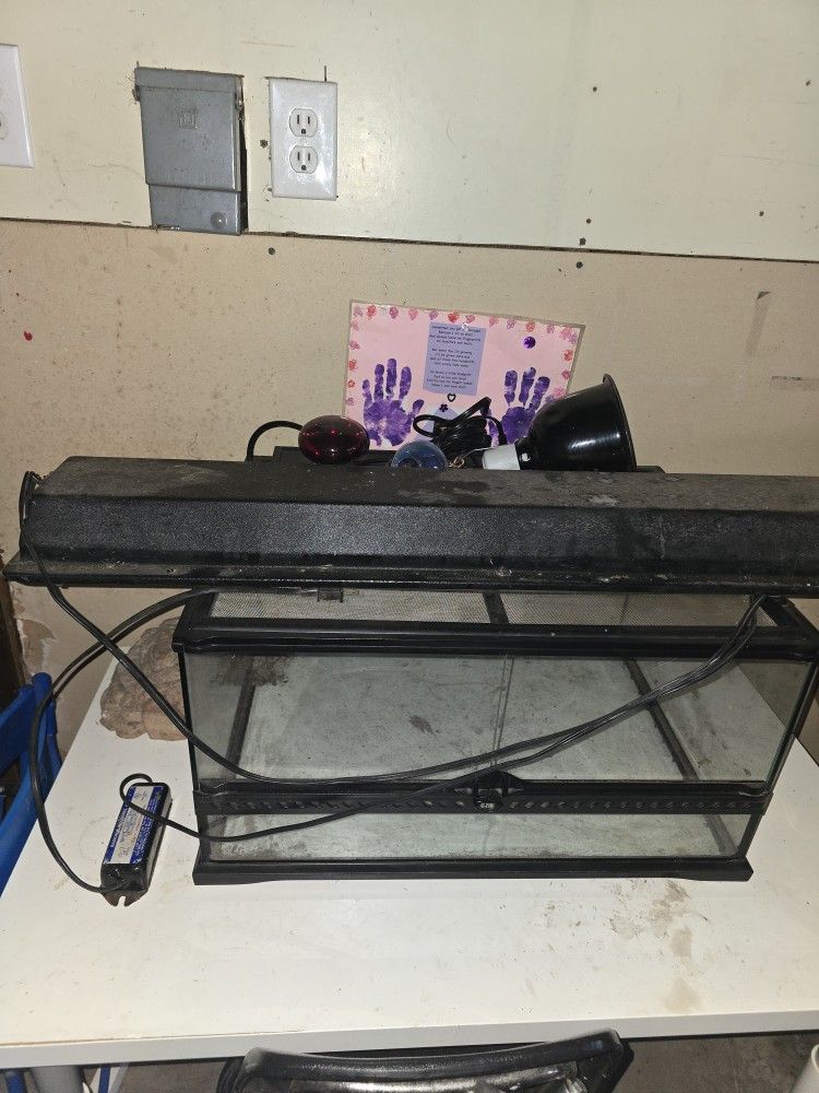 Reaptile Accessories