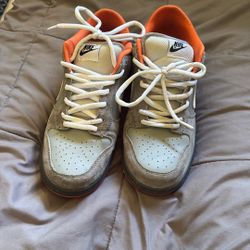 grey nike pigeon dunks