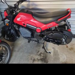 Honda Navi 2022