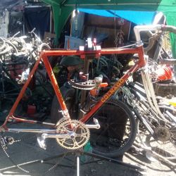 Classic Colonago Frameset**Campagnolo Parts**