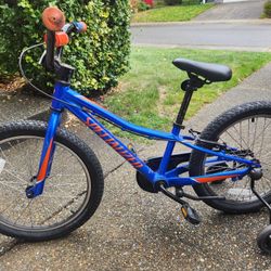 20 inch Specialized  Bike with training wheels