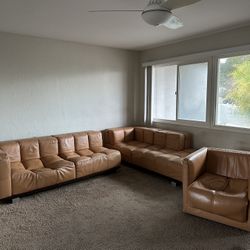 FREE TO GOOD HOME NEXT 24 Hours 
