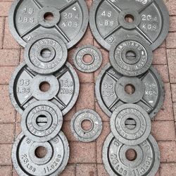 Iron Weight Plate Set 2.5lbs-45lbs 245lbs Total 