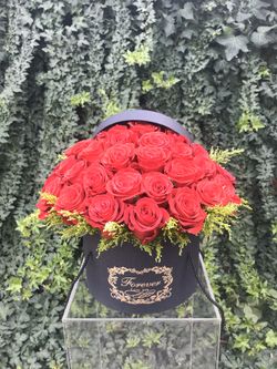 Roses