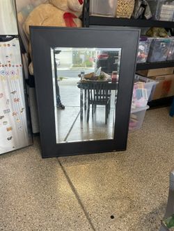 Framed Mirror Dark Brown / Black 36x48