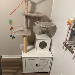 Cat Litter Box