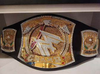 Wwe spinner belt