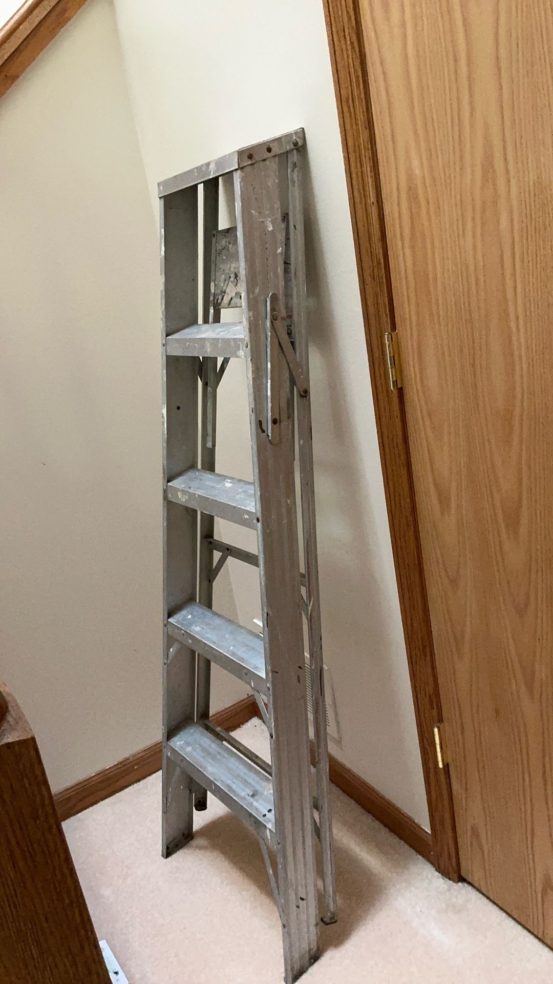 Ladder, 5 Foot