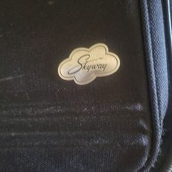 Skyway Suit  Travel Bag, Tempe $25