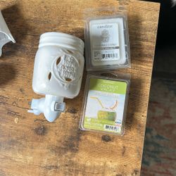 Wax Warmer/melts
