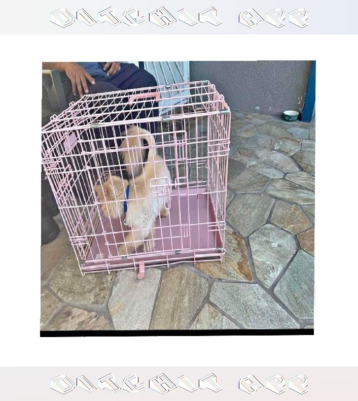 season role Tough Metal Dog Crates - Dependable and Secure