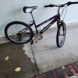 Bicicleta Para Adultos 