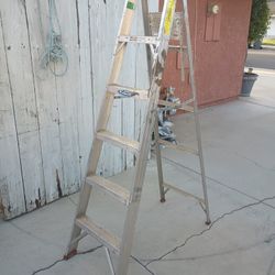 Werner 6 Ft Aluminum Ladder 