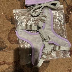 Dog Harness And Leash New Size S