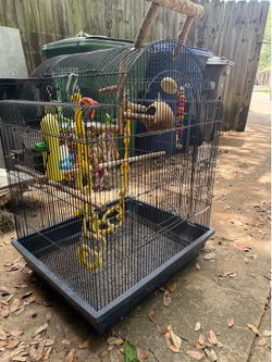 Bird cage