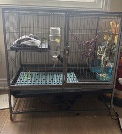 Rat cage (gated cage)