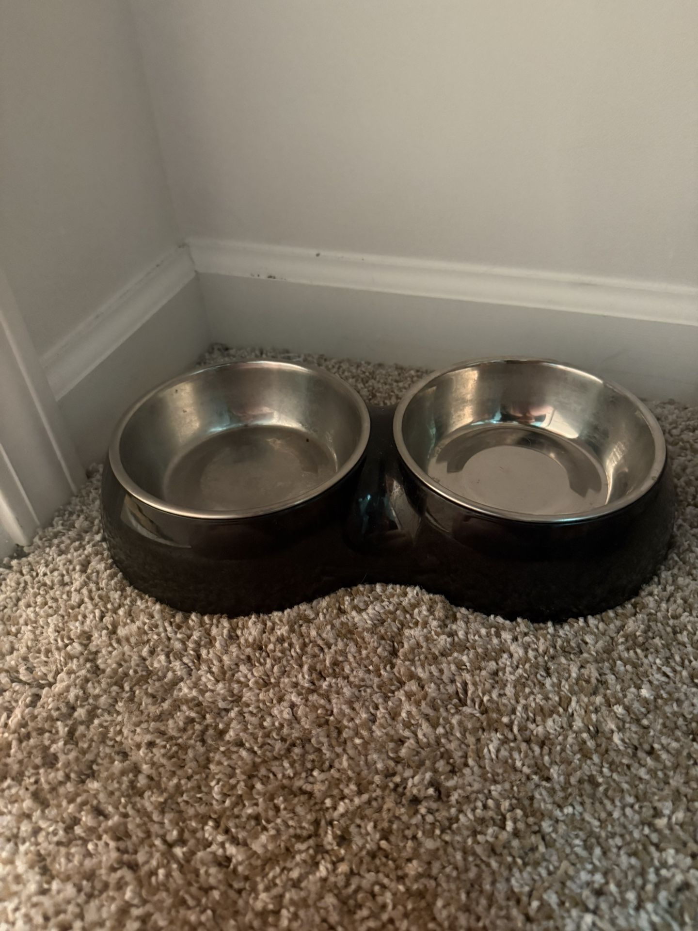 Dog Bowl