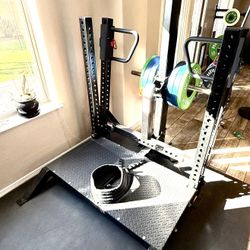 Rogue Rhino Belt Squat