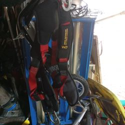 Harness And Lanyard