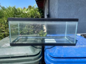 Fish tank