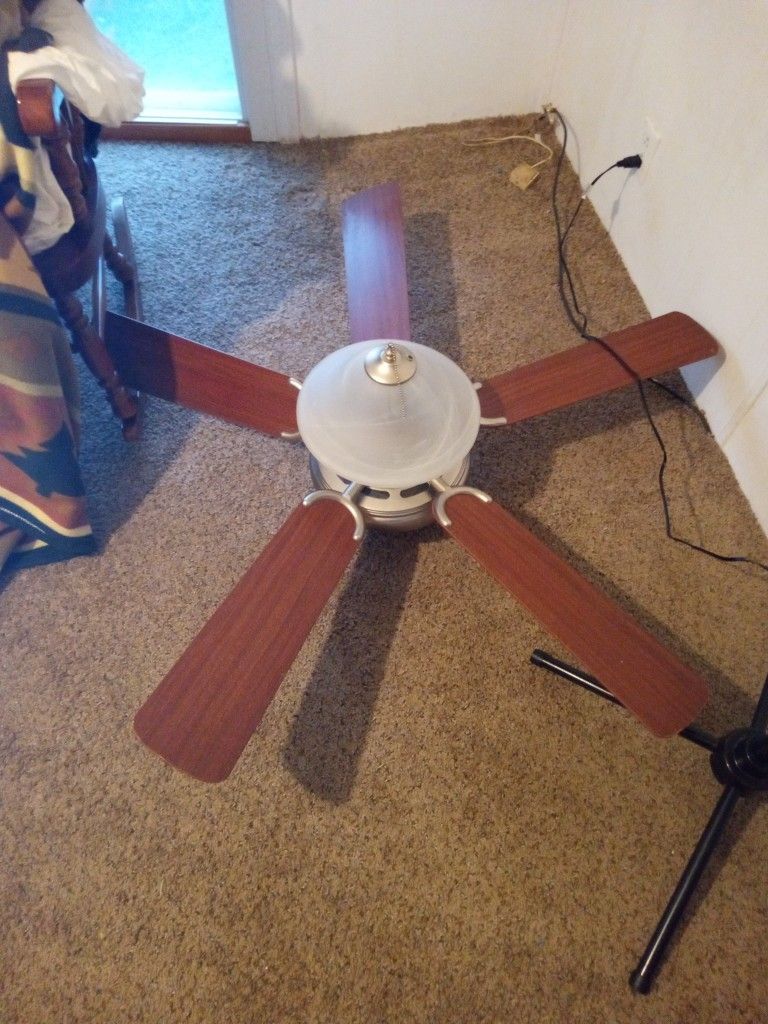 Fan