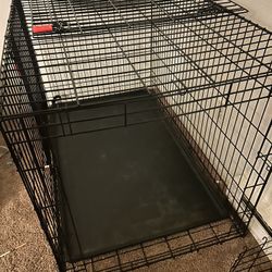 Xl Dog Kennel 