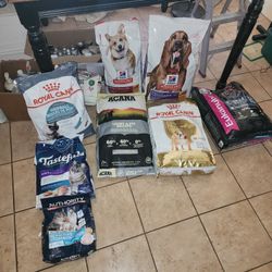 Dog And Cat Food 