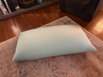 Large bean bag