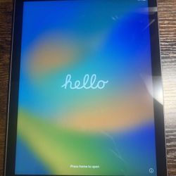 iPad 6 128GB With Otter Box Defender 