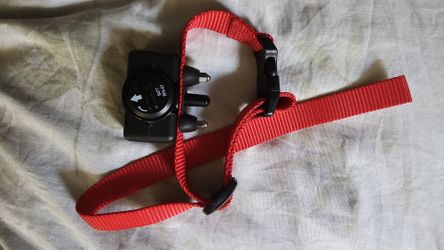 #Dog #Bark #Correct #Collar