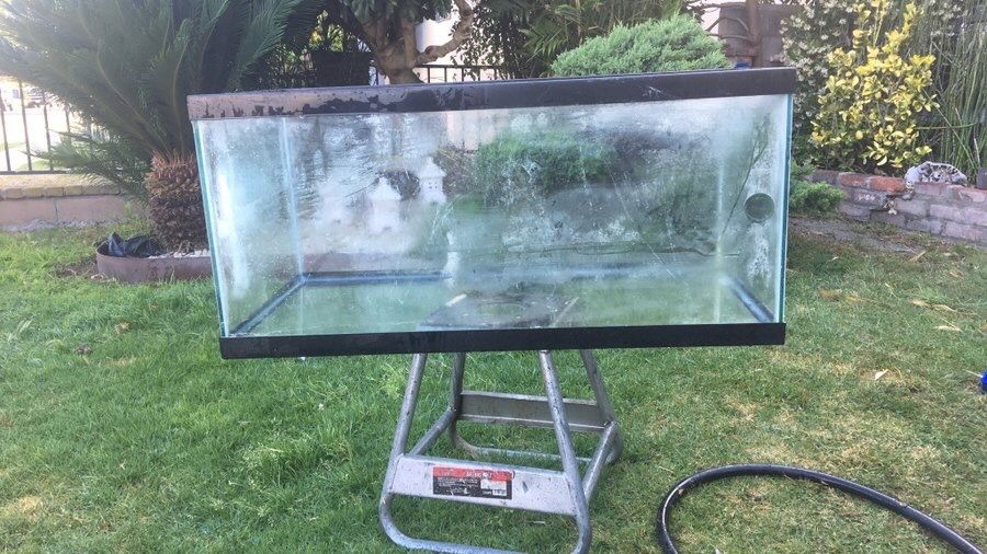 48 gallon fish tank