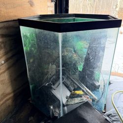 Corner Fish Tank Aquarium with Matching Stand