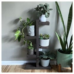 Plant stand