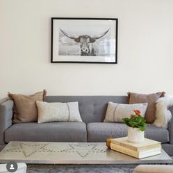 Grey Couch