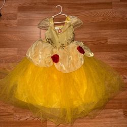 Princess belle costume
